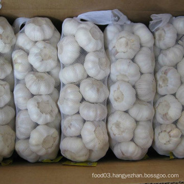 Reliable Supplier for Pure White Garlic (5.5cm and up)